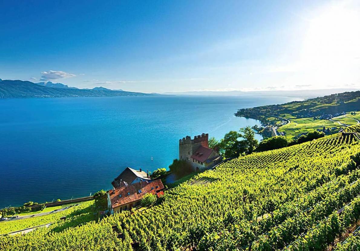 Sunset House With Gorgeous View Of The Lake Montreux Exterior foto